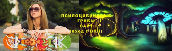 сатива Баксан