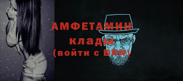 сатива Баксан