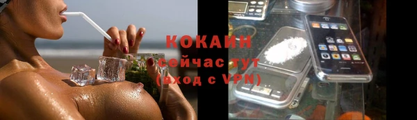 сатива Баксан
