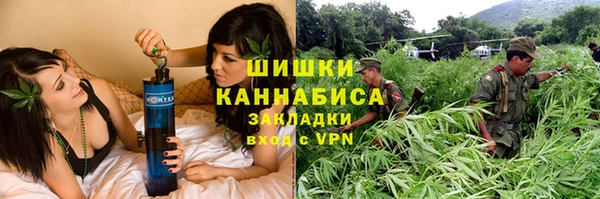 сатива Баксан