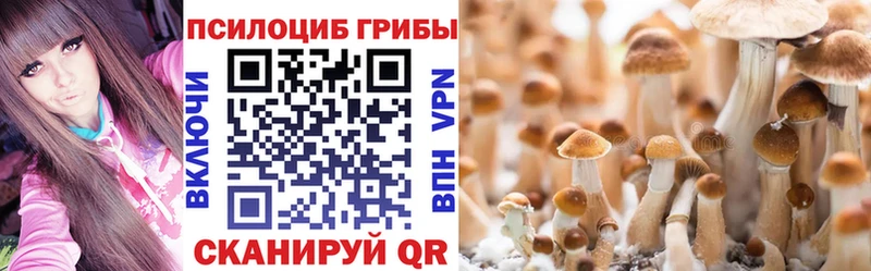 Псилоцибиновые грибы Psilocybine cubensis Усолье-Сибирское
